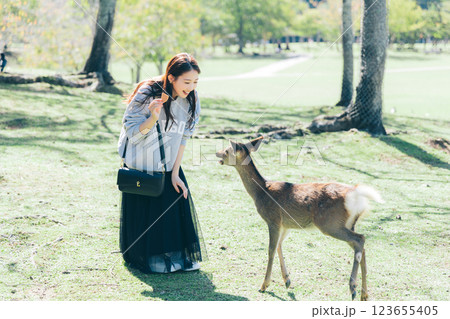 奈良公園で鹿せんべいを鹿にあげる女性 123655405