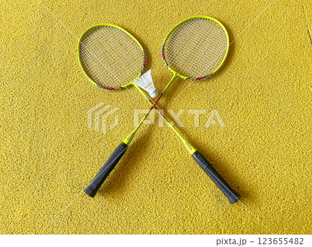 バドミントンのラケットとシャトル バドミントンのラケットとシャトル 123655482