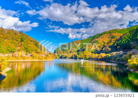 奥多摩湖の紅葉 123655921