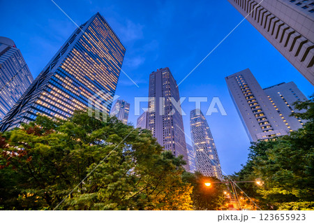 東京・新宿高層ビル群夜景 123655923