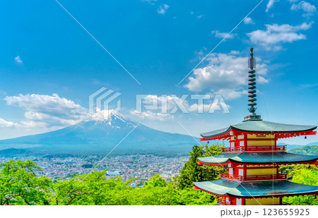 新緑の新倉山浅間公園と富士山 新緑の新倉山浅間公園と富士山 123655925