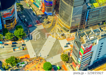 渋谷スクランブル交差点 123655927