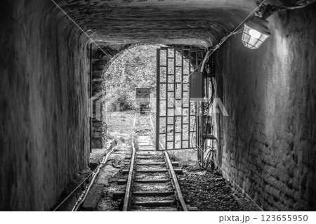 The entrance to a mine shaft in Jachymov features an open gate revealing track lines leading deeper underground. Soft light illuminates the rustic stone walls, enhancing the mysterious atmosphere. The entrance to a mine shaft in Jachymov features an open gate revealing track lines leading deeper underground. Soft light illuminates the rustic stone walls, enhancing the mysterious atmosphere. 123655950