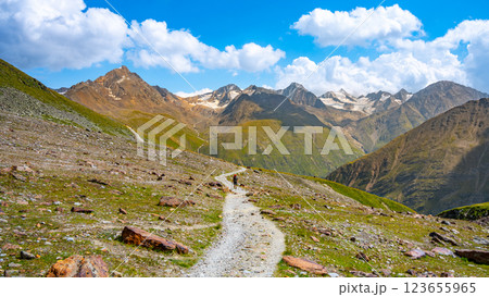 Travelers navigate a winding trail amidst the breathtaking Otztal Alps in Austria. Lush greenery and majestic mountains surround them under a bright blue sky. 123655965