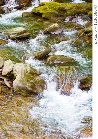 rapid water stream among rocks and stones. beautiful nature background in romanian mountains. closeup view from above 123656047