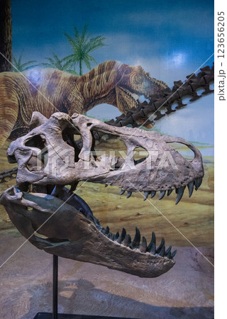 THAILAND KALASIN DINOSAUR MUSEUM THAILAND KALASIN DINOSAUR MUSEUM 123656205