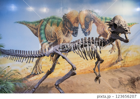THAILAND KALASIN DINOSAUR MUSEUM THAILAND KALASIN DINOSAUR MUSEUM 123656207