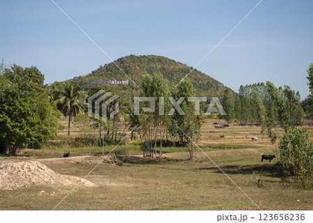 THAILAND KALASIN DINOSAUR MUSEUM 123656236