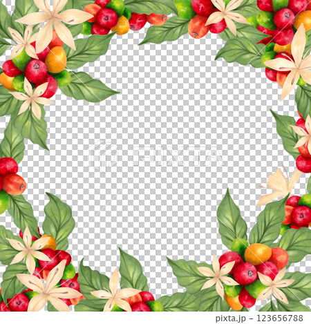 Coffee square frame with beans and flower, leaves. Watercolor illustration. Botanical background of ripening berries. Coffee day. Hand drawn isolated art. Aroma of Robusta and Arabica varieties. 123656788