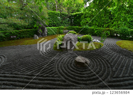 妙心寺退蔵院 陰陽の庭 妙心寺退蔵院 陰陽の庭 123656984