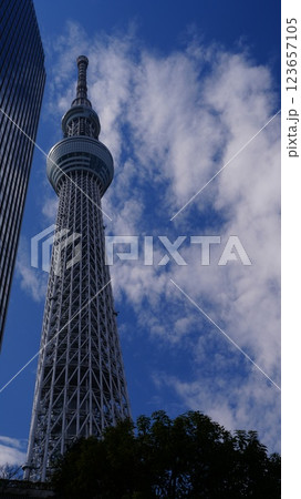 スカイツリーを見上げて気分が高まる スカイツリーを見上げて気分が高まる 123657105