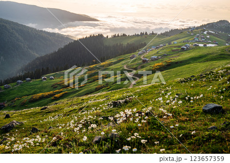 Mountain landscape with blooming plants, sunrise or sunset and valley in the background. Mountain landscape with blooming plants, sunrise or sunset and valley in the background. 123657359
