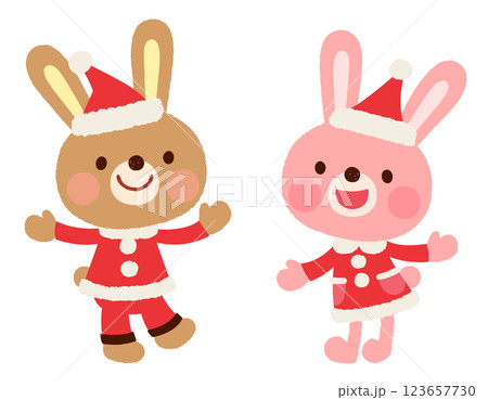 かわいいウサギのサンタクロース　クリスマス 123657730