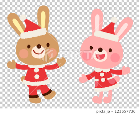かわいいウサギのサンタクロース　クリスマス 123657730