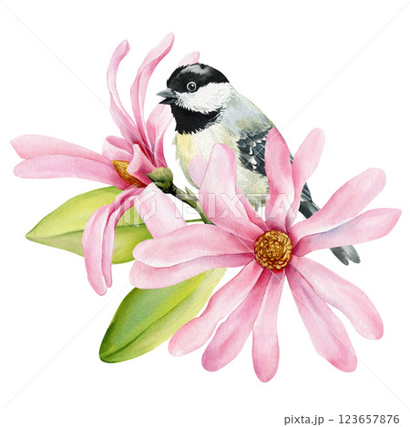 bird and magnolia flowers, nature design. Watercolor songbird. Cute bird image for printing on clothes, dishes, posters bird and magnolia flowers, nature design. Watercolor songbird. Cute bird image for printing on clothes, dishes, posters 123657876