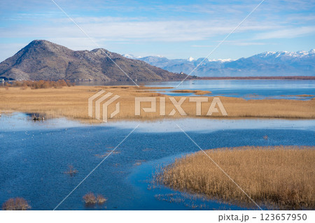 View of Skadar Lake with reeds on mountains background in winter, Montenegro 123657950