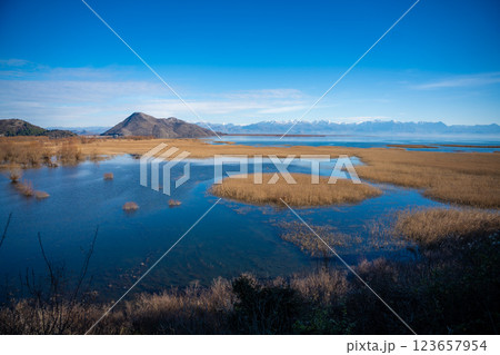View of Skadar Lake with reeds on mountains background in winter, Montenegro 123657954