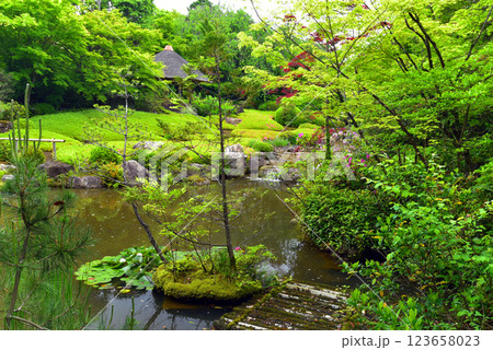 妙心寺退蔵院 余香苑 123658023