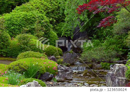 妙心寺退蔵院 余香苑 123658024