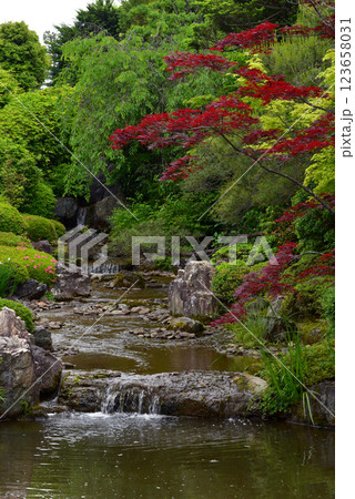 妙心寺退蔵院 余香苑 妙心寺退蔵院 余香苑 123658031