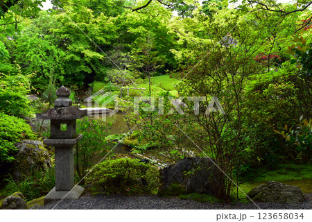 妙心寺退蔵院 余香苑 123658034