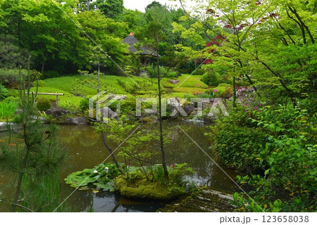 池のある風景　妙心寺退蔵院 余香苑 123658038