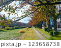 秋の紅葉が始まった葛西用水 123658738