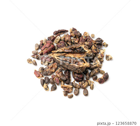 Black Cardamom Seeds Isolated, Brown Cardamon, Dry Kardamon Fruits, Cardamum Spice, Cardamomum Black Cardamom Seeds Isolated, Brown Cardamon, Dry Kardamon Fruits, Cardamum Spice, Cardamomum 123658870