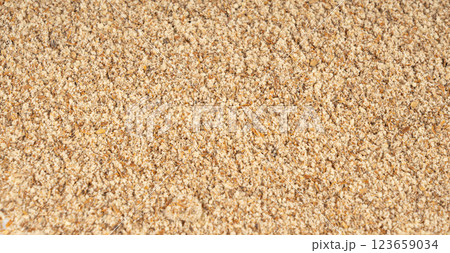 Milk thistle seeds powder, crushed silybum marianum grains pile, milled dry blessed milkthistle Milk thistle seeds powder, crushed silybum marianum grains pile, milled dry blessed milkthistle 123659034