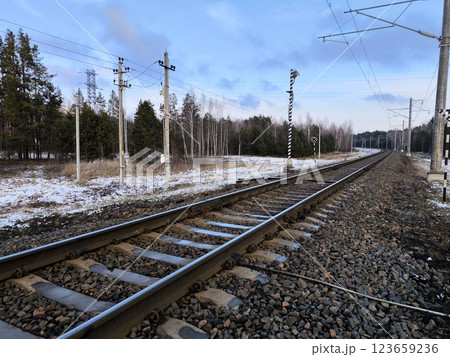Natural view of empty railroad in forest, in sunny day. Rails and sleepers, railway close-up. 123659236
