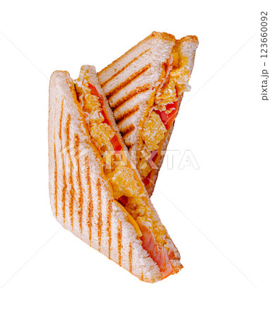 Grilled sandwich with cheese, tomato, and chicken filling 123660092