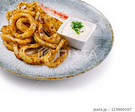 Fried squid rings served with white sauce on elegant restaurant plate 123660107