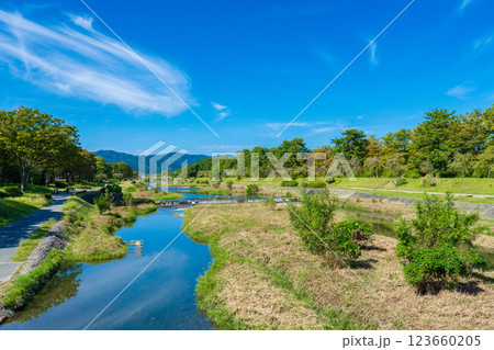 京都市　賀茂川の上流を望む 123660205