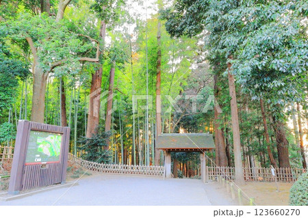 偕楽園 一ノ木戸と 孟宗竹林 大杉森/茨城県水戸市 偕楽園 一ノ木戸と 孟宗竹林 大杉森/茨城県水戸市 123660270