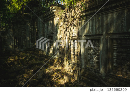 カンボジア　ベンメリア遺跡 123660299