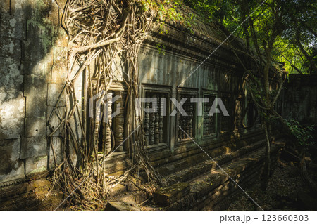 カンボジア　ベンメリア遺跡 123660303