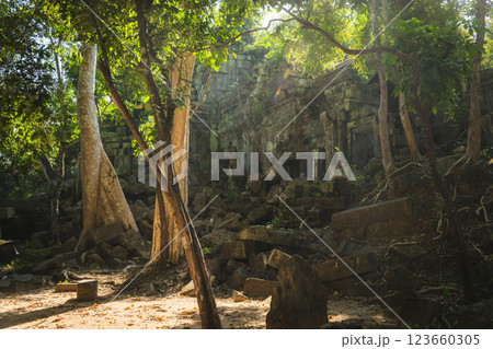 カンボジア　ベンメリア遺跡 123660305