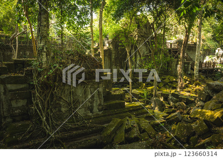 カンボジア　ベンメリア遺跡 123660314