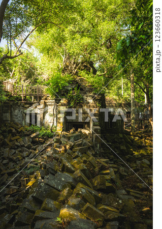カンボジア　ベンメリア遺跡 123660318