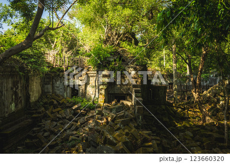 カンボジア　ベンメリア遺跡 123660320