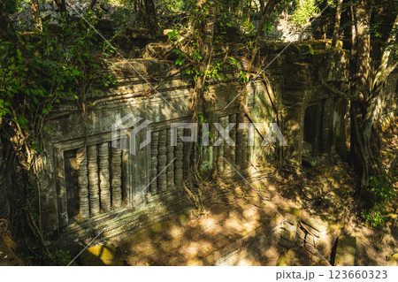 カンボジア　ベンメリア遺跡 123660323