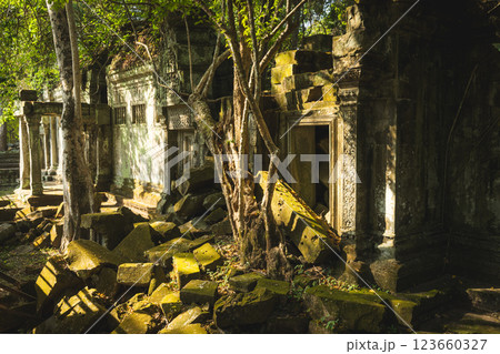 カンボジア　ベンメリア遺跡 123660327