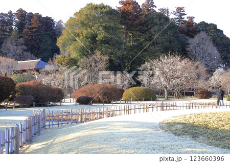 偕楽園の梅まつり/茨城県水戸市 偕楽園の梅まつり/茨城県水戸市 123660396