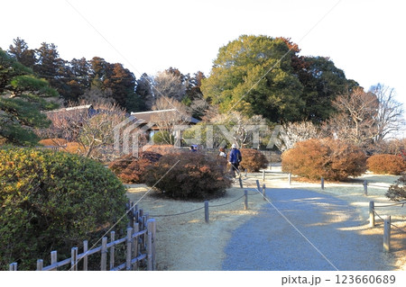 偕楽園の梅まつり／茨城県水戸市 123660689