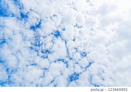 青空と白い雲 123660991