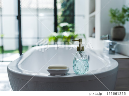 浴室の石鹸 123661236