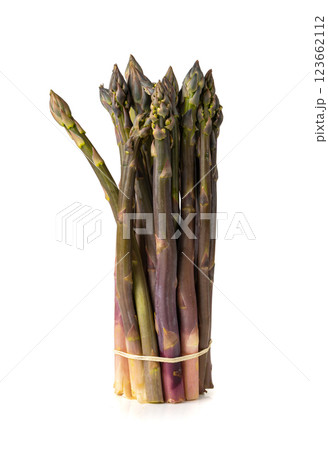 Purple Asparagus Isolated, Raw Garden Vegetables Bunch, Fresh Edible Sprouts of Red Asparagus Officinalis Purple Asparagus Isolated, Raw Garden Vegetables Bunch, Fresh Edible Sprouts of Red Asparagus Officinalis 123662112