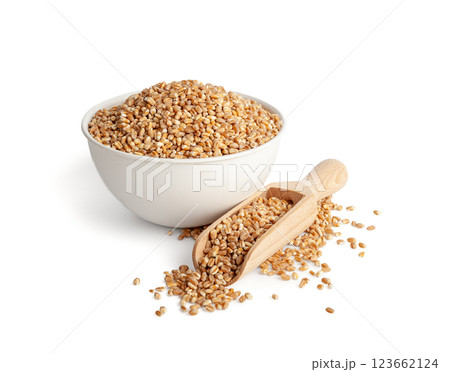 Wheat Grains, Barley Pile, Dry Cereal Seeds, Wheat Grains Heap on White Wheat Grains, Barley Pile, Dry Cereal Seeds, Wheat Grains Heap on White 123662124