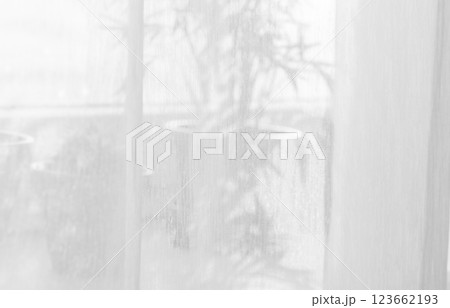 Sunlight on curtain, blurred shadow tulle background, sheer curtains, silk veil fabric 123662193