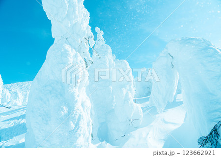 山形蔵王の美しい樹氷 123662921
